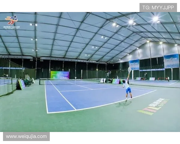 西安网球队进攻战术解析与深度剖析网球技术的魅力与挑战