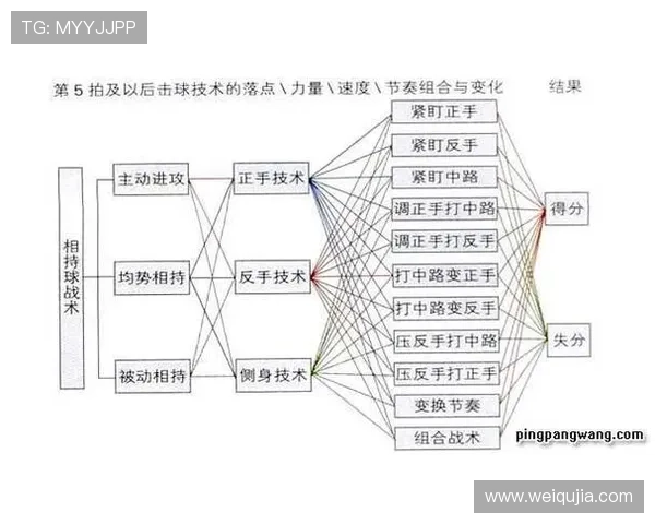 杭州乒乓球队进攻战术解析与实战应用探讨